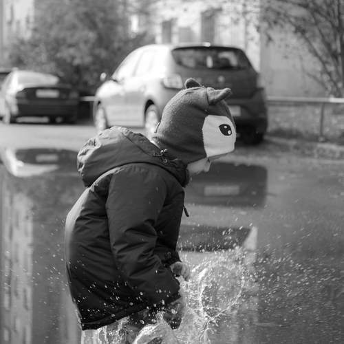 Photo #13672940