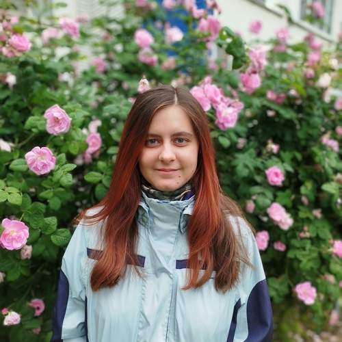 Дикие розы
