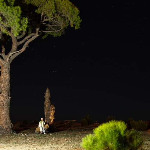 Photo #13673009