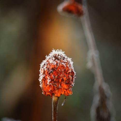 Photo #13673020