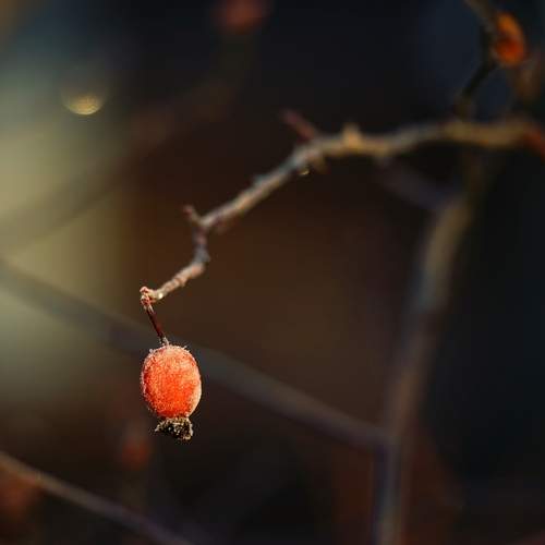 Photo #13673021