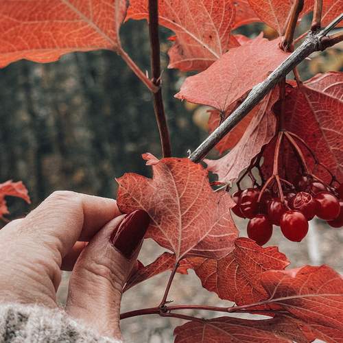 Photo #13673024