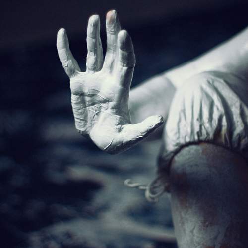 Photo #13673067