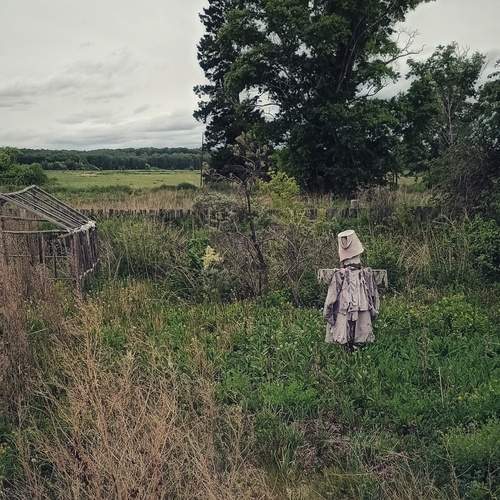 Photo #13673084