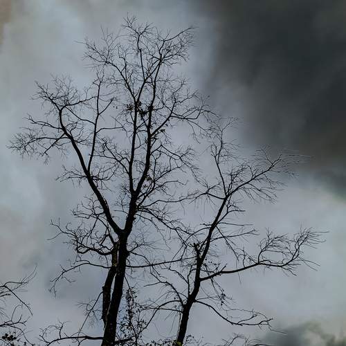 Photo #13673196