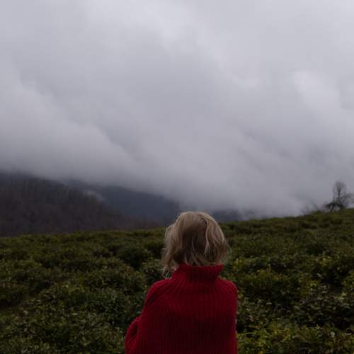 Photo #13673335