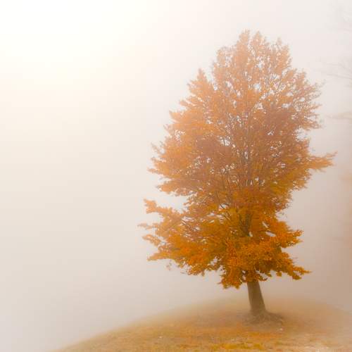 Photo #13673414