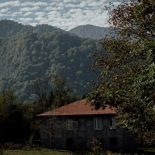 Photo #13673476
