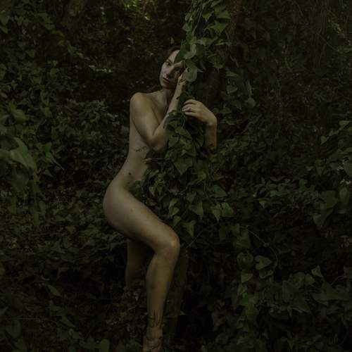 Photo #13673478