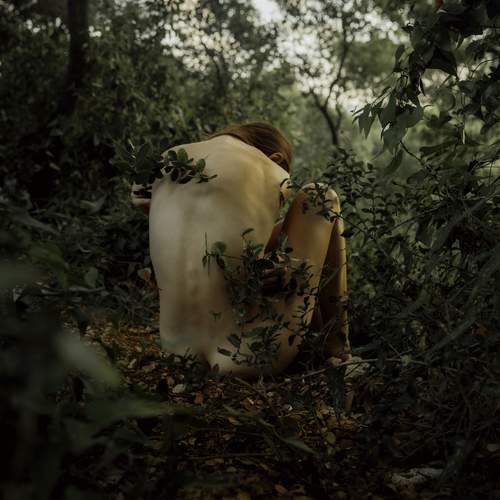 Photo #13673479