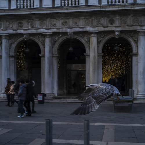 Photo #13673647