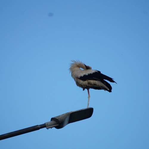 Photo #13673660