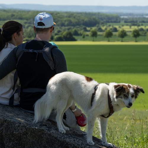 Photo #13673810