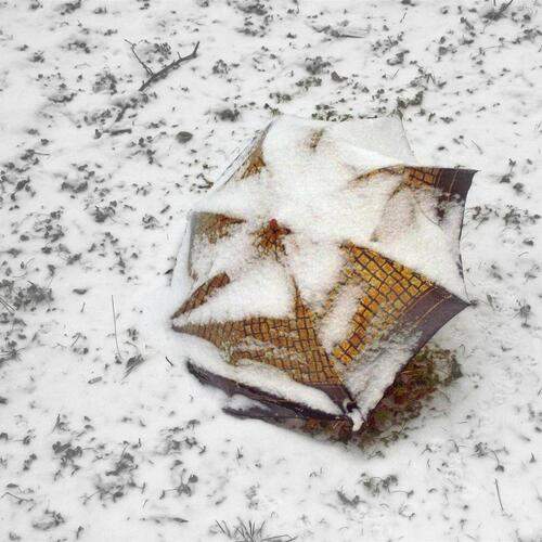 Photo #13673822
