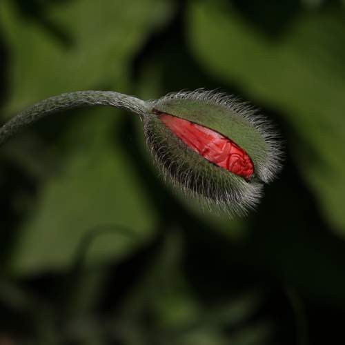 Photo #13673873