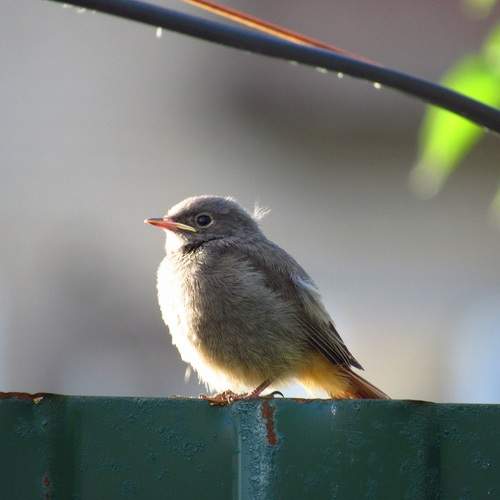 Photo #13673946