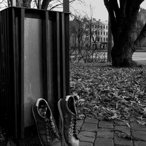 Photo #13673966