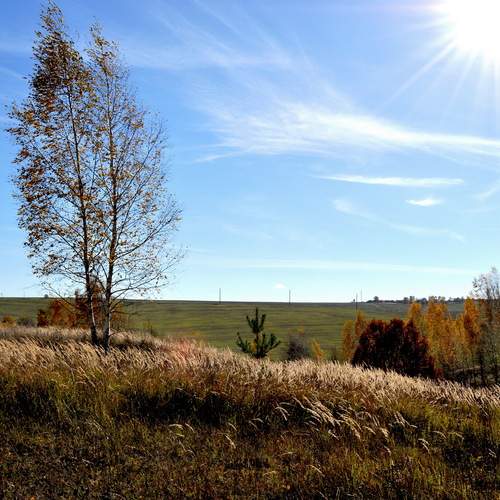 Photo #13674096