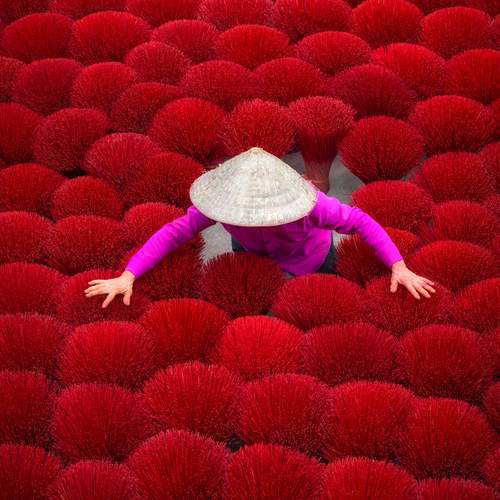 Photo #13674099