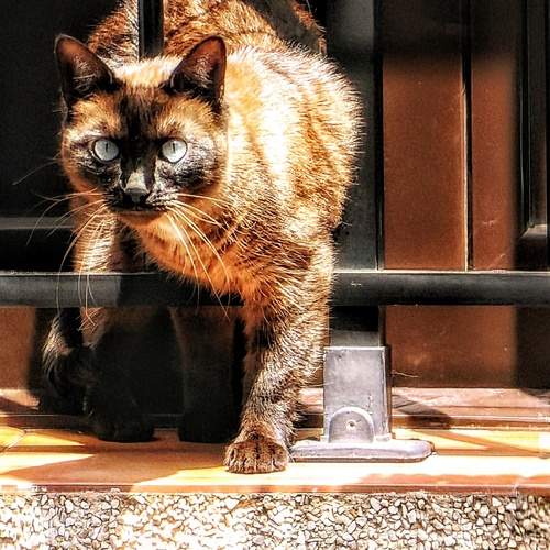 Photo #13674425