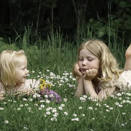 Photo #13674437