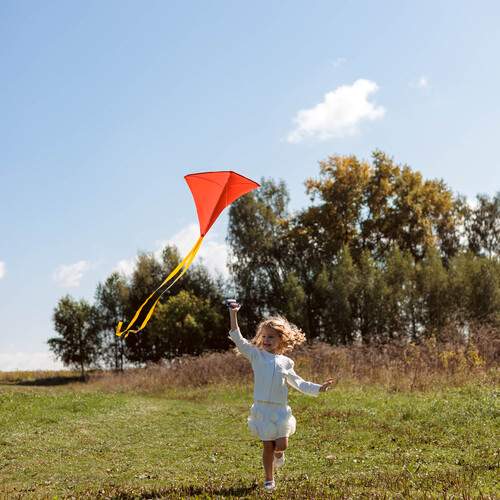 Photo #13674439