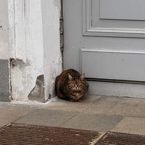 Photo #13674447