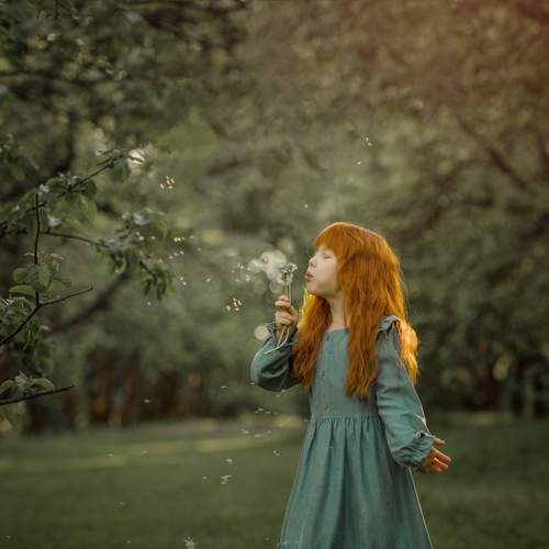 Photo #13674527