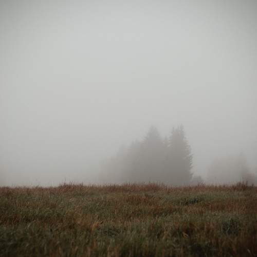 Photo #13674534