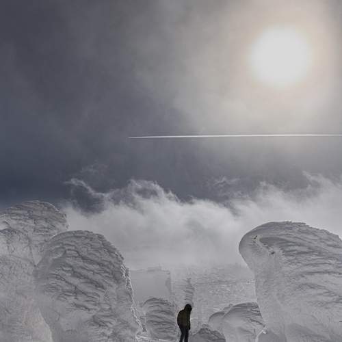 Photo #13674545