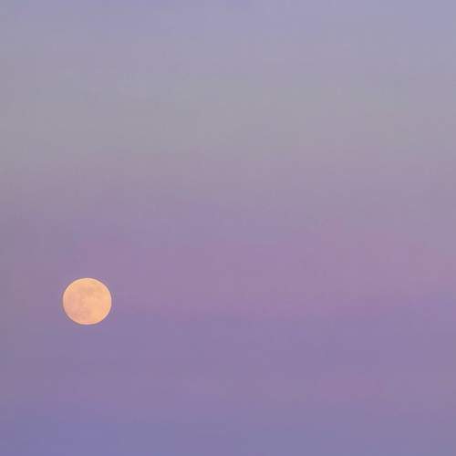Photo #13674575