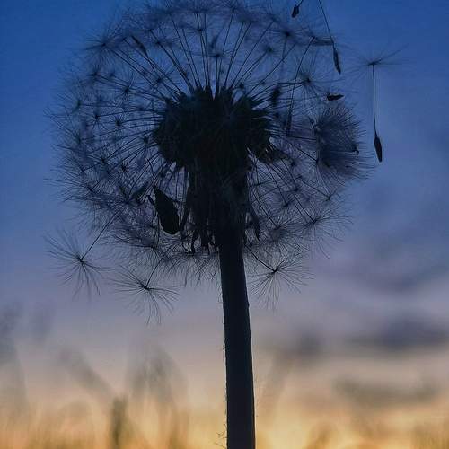 Photo #13674583