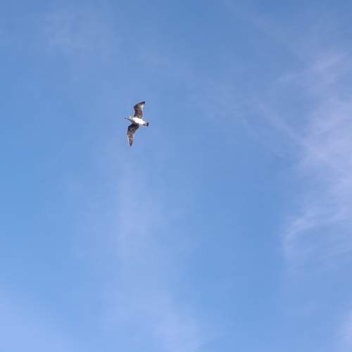 Photo #13674628