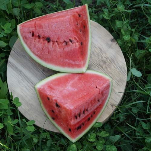 Photo #13674650
