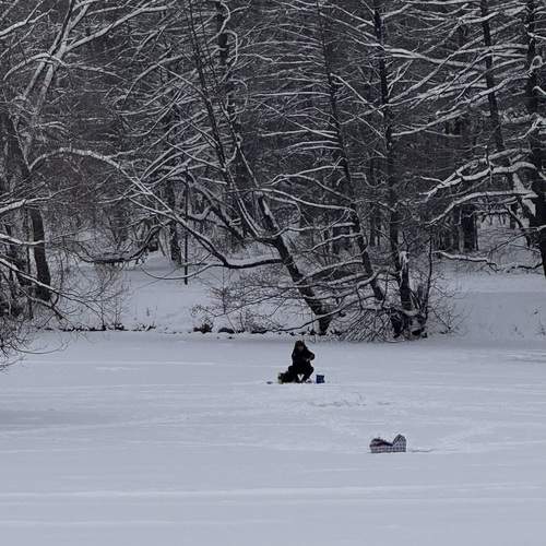 Photo #13674696