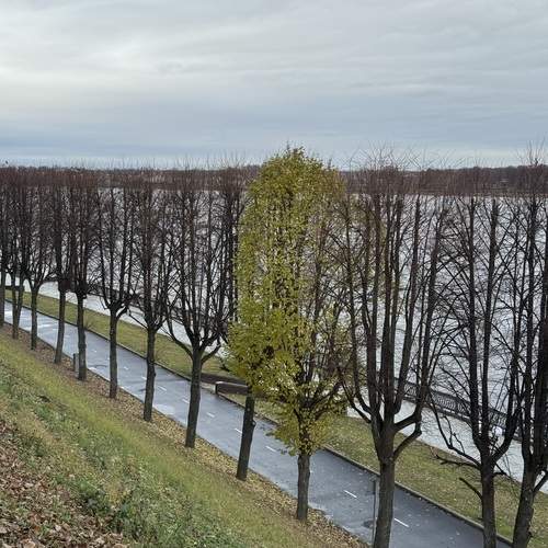 Photo #13674697