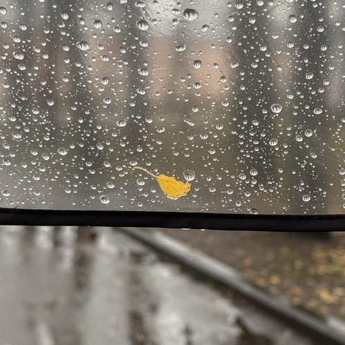 Photo #13674698