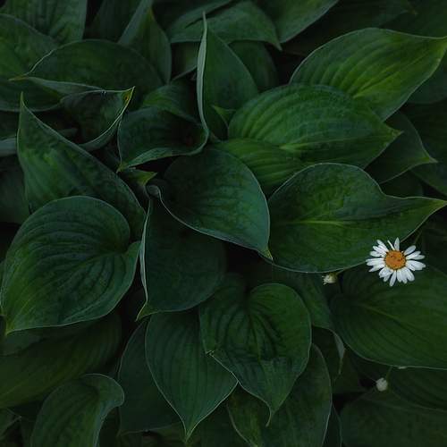Photo #13674730