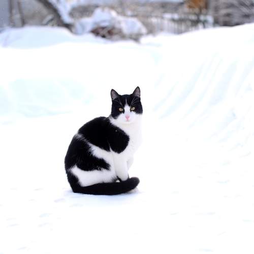 Photo #13674744