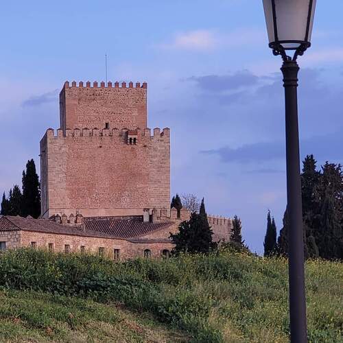 Photo #13674776