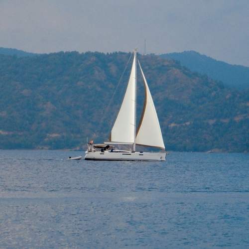 Photo #13674813