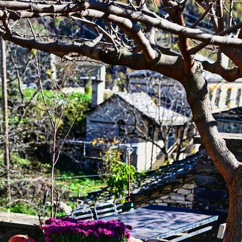 Photo #13674851