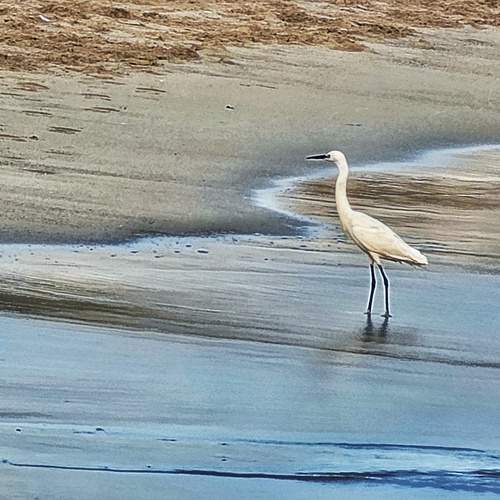 Photo #13674912