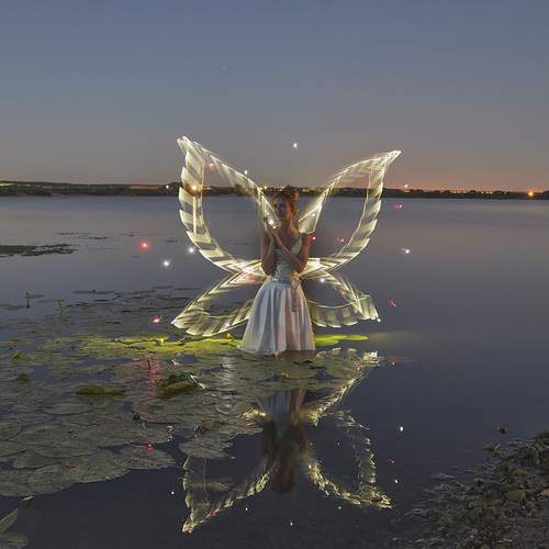 Photo #13674967