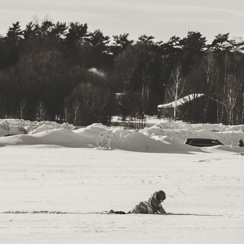 Photo #13675012