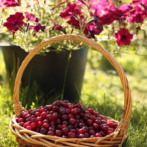 Photo #13675045