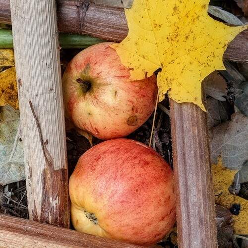 Photo #13675073