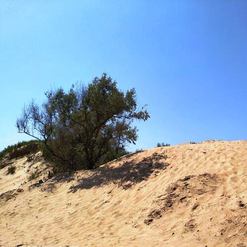 Photo #13675317