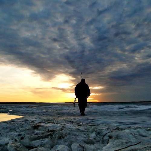 Photo #13675413