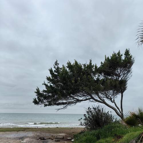 Photo #13675472